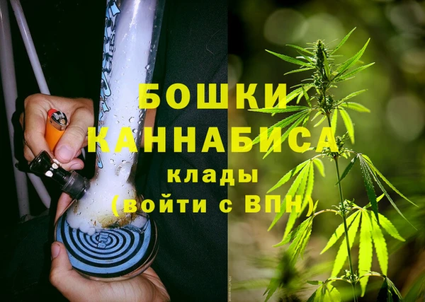 стаф Магас