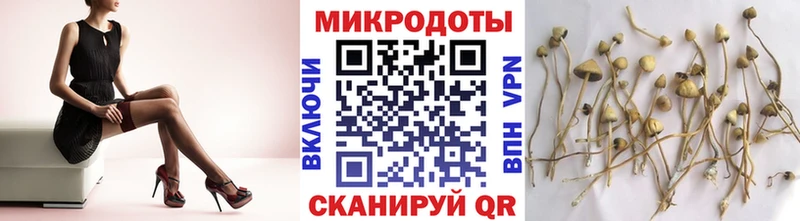 Галлюциногенные грибы Cubensis  Струнино 