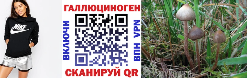 Псилоцибиновые грибы ЛСД Струнино